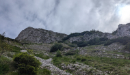 PXL_20240622_140131438