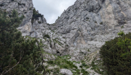 PXL_20240622_143632040