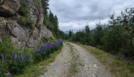 PXL_20240623_100315458