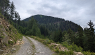 PXL_20240623_101848702