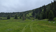 PXL_20240623_110609827