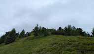 PXL_20240623_112851552