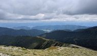 PXL_20240623_123606948