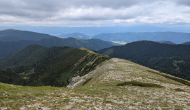 PXL_20240623_123952286