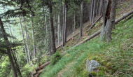 PXL_20240623_160735129
