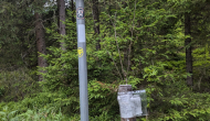 PXL_20240623_170919275