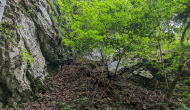 PXL_20240616_115001081