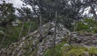 PXL_20240616_115413950
