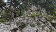 PXL_20240616_115536633