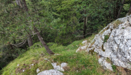 PXL_20240616_115539867