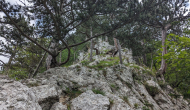 PXL_20240616_115547376