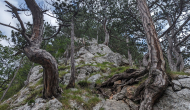 PXL_20240616_115713738