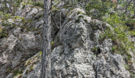 PXL_20240616_120134144