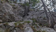 PXL_20240616_120321021