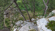 PXL_20240616_120624902