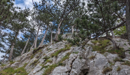 PXL_20240616_120627301