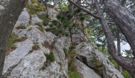 PXL_20240616_120629005
