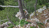 PXL_20240616_121040233