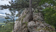 PXL_20240616_121616237