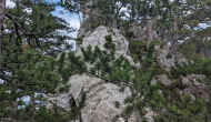 PXL_20240616_122028072