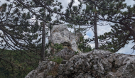 PXL_20240616_122945863