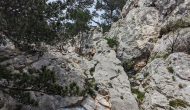 PXL_20240616_143653433