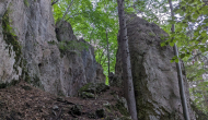 PXL_20240616_164555970