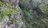 PXL_20240616_170008669