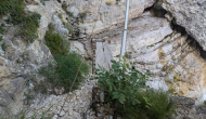 PXL_20240629_133609636
