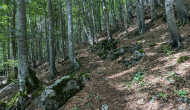PXL_20240811_110401141