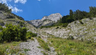 PXL_20240811_111425047