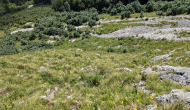 PXL_20240811_112025639
