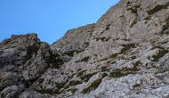 PXL_20240811_130942450