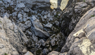 PXL_20240811_151504220