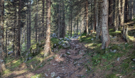 PXL_20240831_082045409