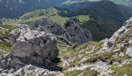 PXL_20240831_103751298