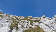 PXL_20240831_103800106