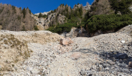 PXL_20241101_105123463