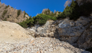 PXL_20241101_105401697