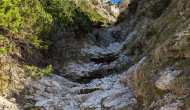 PXL_20241101_110046817