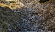 PXL_20241101_111709405