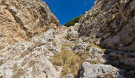 PXL_20241101_112101077
