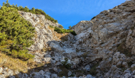PXL_20241101_112434466