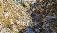 PXL_20241101_112935461