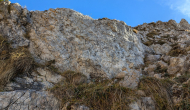 PXL_20241101_113322845