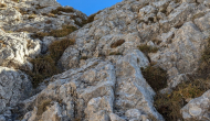 PXL_20241101_113615586