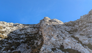 PXL_20241101_121204672