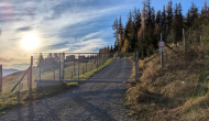 PXL_20241101_141957255
