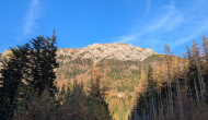 PXL_20241101_142203979