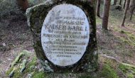 PXL_20241101_145854246